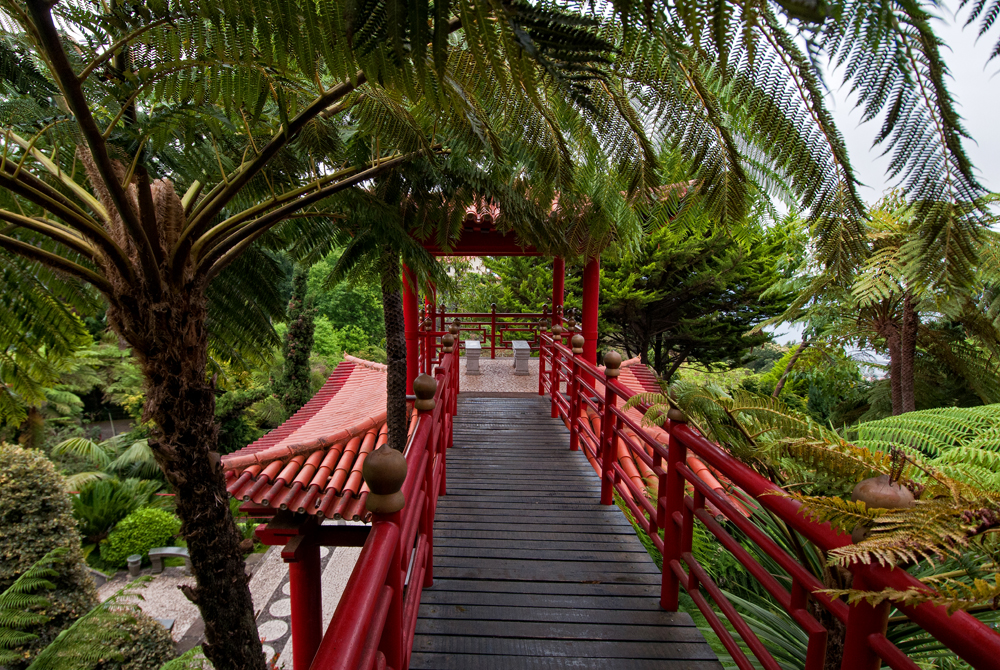 293_Madera_Jardim Tropical Monte Palace.jpg